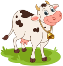 Cow